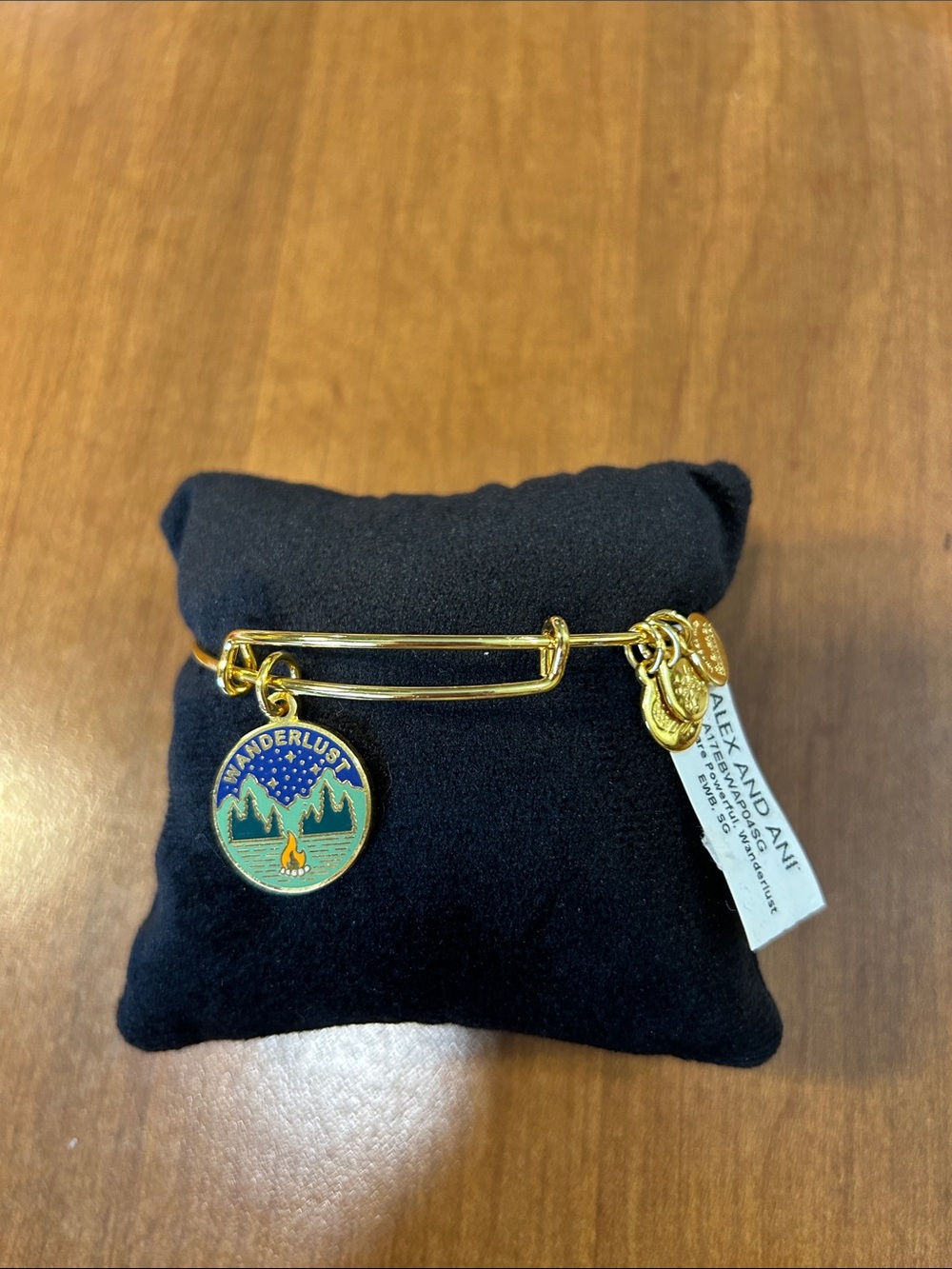 Alex and Ani Gold Wanderlust Charm Bangle Bracelet